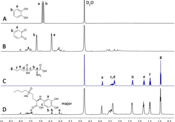Figure 4.  1 H NMR spectra of the  L -BSO derivatization reaction followed by NMR. Comparative  spectrum of (A) catechol, (B)  o-quinone, (C)  L -BSO, and (D)  L -BSO derivative (3)