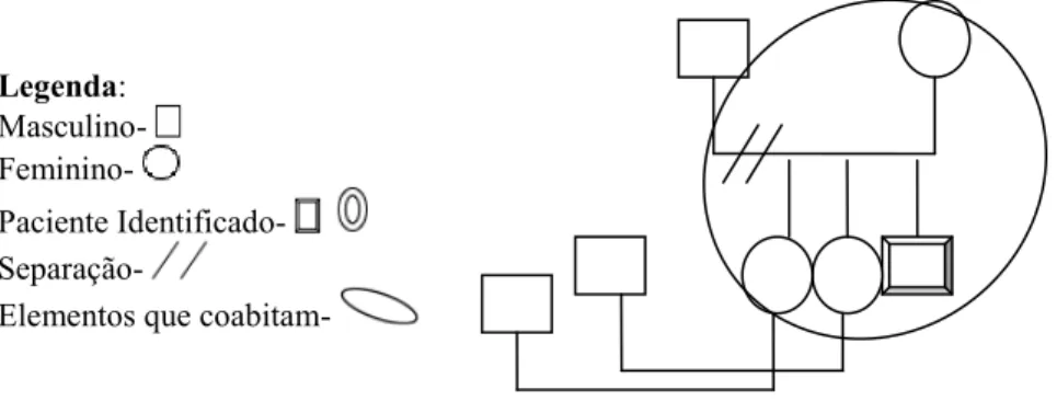 Figura 14- Genograma da Família 2 