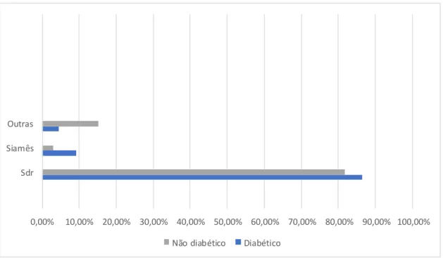 Gráfico  1. Percentagens das diferentes raças, dentro dos grupos de gatos diabéticos e não diabét icos 