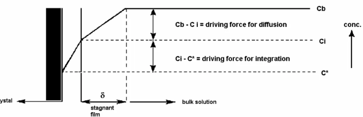 Figure 2.4 – Concentration profile  perpendicular  to  the  crystal  surface  during  growth  (IPT, 1997)