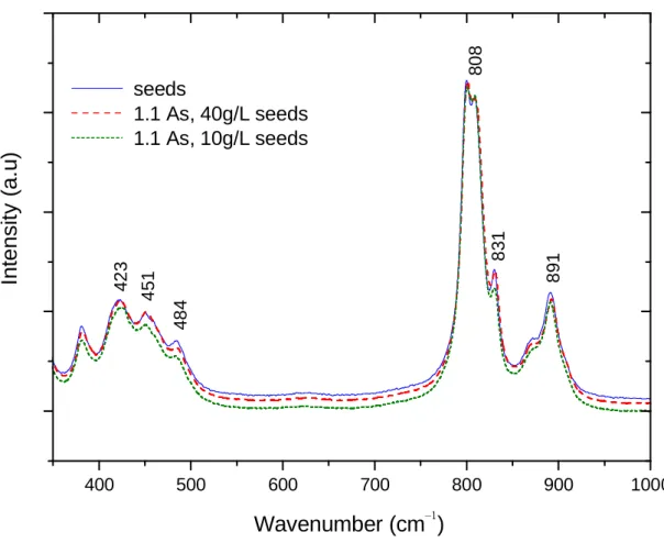 Figure  3.11  –  Raman  spectra  in  the  range  of  300-1000  cm -1   for  the  scorodite  seeds  produced in autoclave and precipitates from batch tests