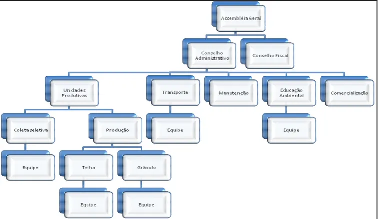 Figura 03. Estrutura deliberativa da cooperativa nos anos relativos entre 2005 e 2006