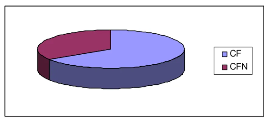 Gráfico 1:   Distribuição da população pelas Licenciaturas de CF e CFN 