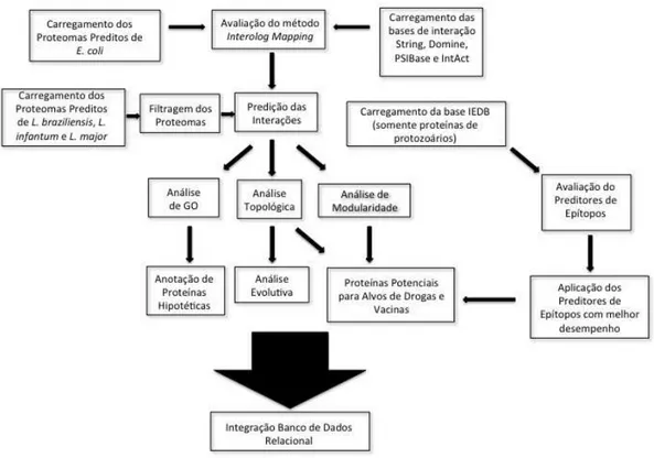 Figura 7 – Fluxograma representando a metodologia utilizada no desenvolvimento do  projeto