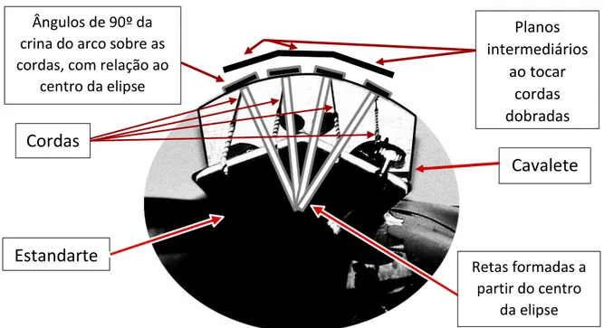 Figura 3: Visualização de uma elipse imaginada a partir da curvatura do cavalete. Retângulos pretos  representam a crina do arco sobre as cordas, formando um ângulo de 90º com as retas em linhas  brancas a partir do centro da elipse