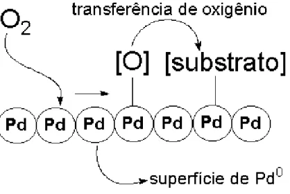 Figura  III.20  – Ciclo catalítico para oxidação do clorobenzeno na superfície do 