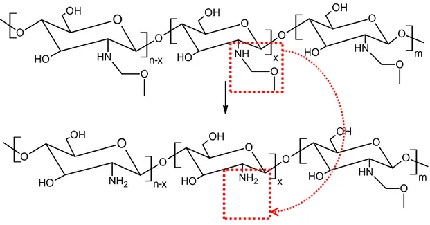 Figura  3.3  –  Representação  esquemática  da  desacetilação  da  quitina  para  obtenção  da  quitosana, destacando os grupamentos amino livres 