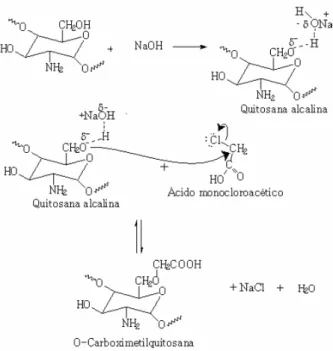 Figura 3.11 – Representação esquemática da reação da O-carboximetilquitosana  Fonte: Adaptado de ABREU (2006) 