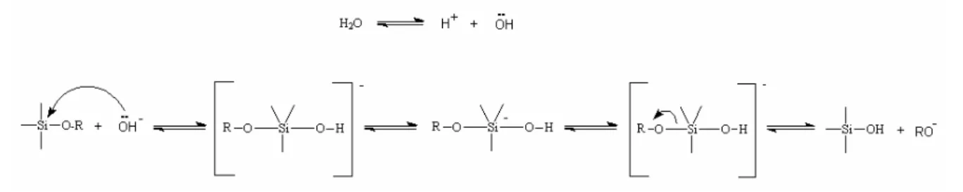Figura 3.4 -  Mecanismo de hidrólise catalisado por base. 