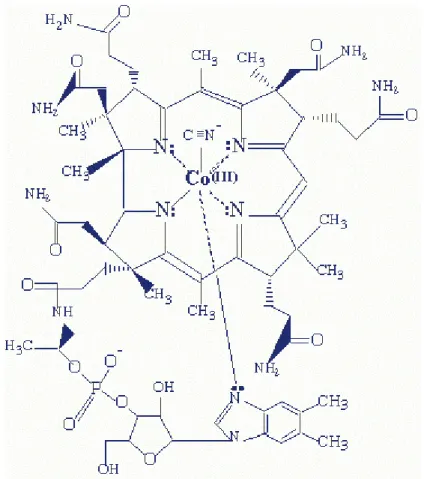 Figura 3.7-  Estrutura química da vitamina B12  Fonte: STRUCTURE OF VITAMIN B12, 2004 