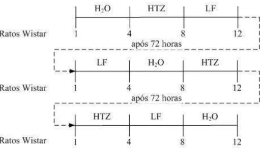 FIGURA 11 - Representação esquemática da administração da HTZ e composto de inclusão  obtido pela técnica de leito fluidizado (LF) nos ratos Wistar