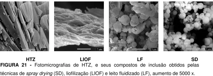 FIGURA  21  -  Fotomicrografias  de  HTZ,  e  seus  compostos  de  inclusão  obtidos  pelas  técnicas de spray drying (SD), liofilização (LIOF) e leito fluidizado (LF), aumento de 5000 x