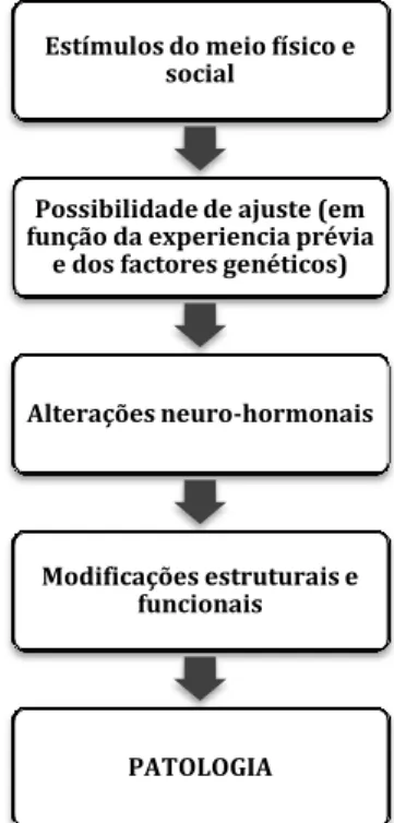 Figura 3 Esquema representativo da cadeia de eventos desde a percepção dos estímulos agressivos  ao aparecimento de patologia (adaptado de Dantzer &amp; Mormède, 1992)