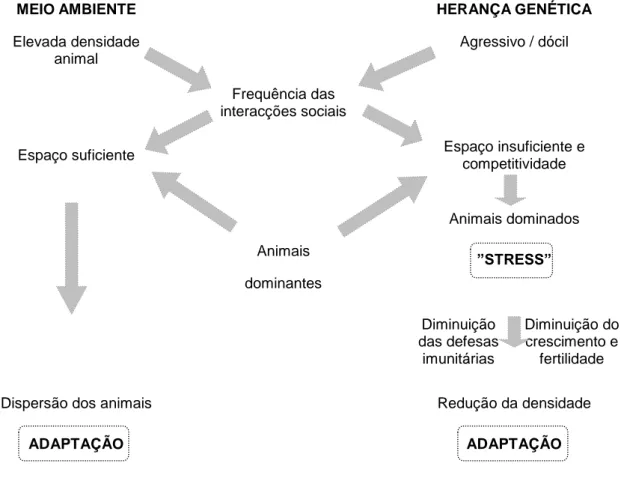 Figura 5 Representação esquemática das consequências da sobrepopulação num grupo de animais