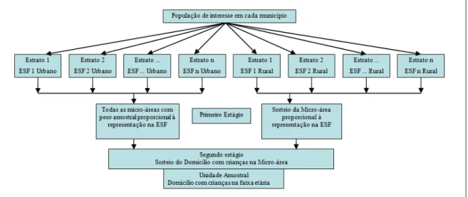 Figura 3 -  Fluxograma do plano amostral com a definição dos estratos, estágios  da amostragem e unidade amostral primária do estudo no município de Novo  Cruzeiro (2008), Minas Gerais 