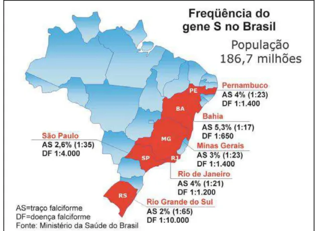 Figura 7. Frequência do gene β S  nas diferentes regiões do Brasil. Fonte:  Cançado &amp; Jesus, 2007