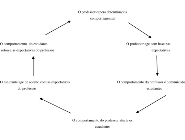 Fig. I-   Processo ciclo das expectativas do professor