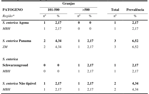 Tabela 2 - Distribuição da prevalência encontrada de sorotipos não patogênicos de Salmonella enterica  no  estado  de  Minas  Gerais  de  acordo  com  o  tamanho  do  rebanho  e  região  considerando  positividade da granja dentre as 46 avaliadas