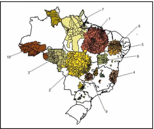 FIGURA  2  -  Os  10  primeiros  clusters  de  casos  de  hanseníase,  identificados  por  meio  do  coeficiente  de  detecção  de  casos  novos  no  período de 2005 a 2007, Brasil