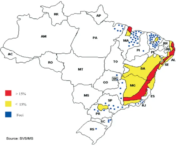 Figura 2 – Dispribuição da esquispossosose no Brasil (DRUMMOND ep al., 2006) 