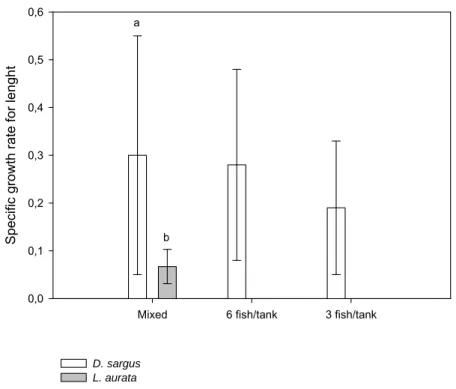 Fig. 2 Specific growth rates for length (mean±S.D.) of D. sargus and L. aurata in mixed  and monospecific groups