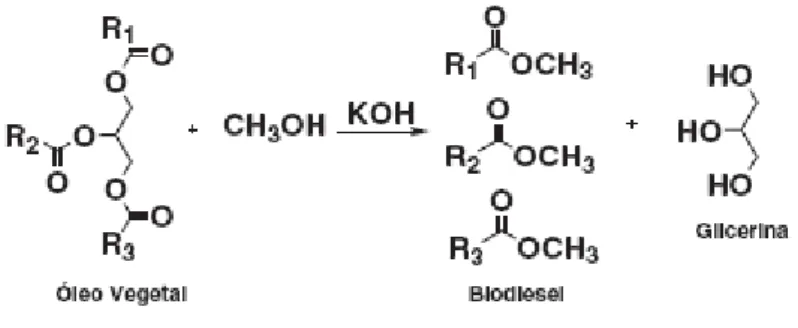 Figura 1. Produção de biodiesel a partir da transesterificação de óleos vegetais   (adaptado da referência [2])