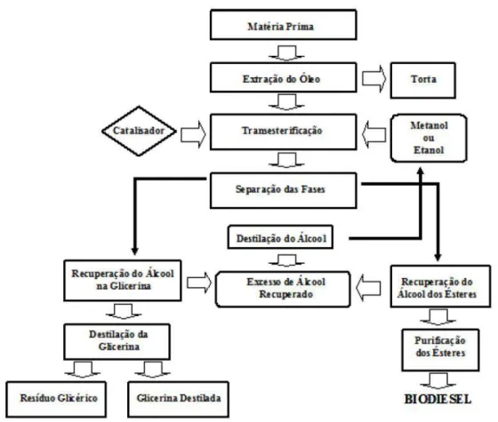 Figura 2. Fluxograma genérico da produção de biodiesel. 