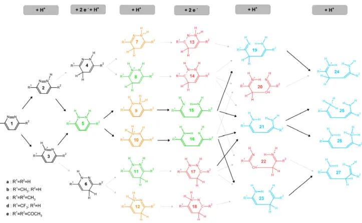 Figure 1: Possible pathways for the sequential addition of four electrons and five protons to 1,2- 1,2-pyridazines