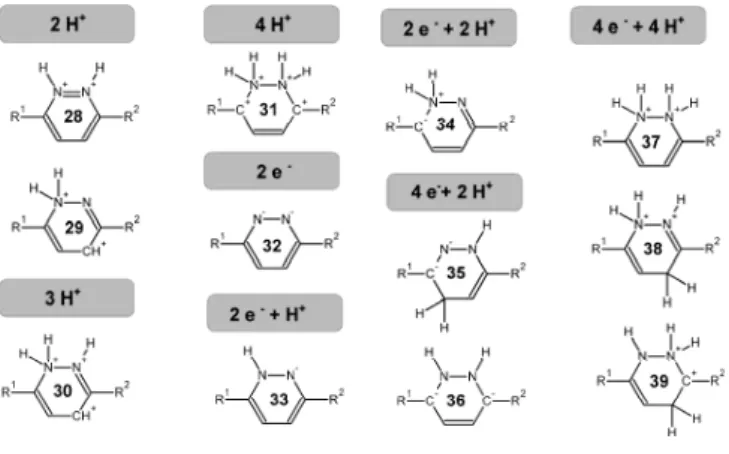 Figure 2: Unstable intermediates arising from different sequences of protonation/reduction events