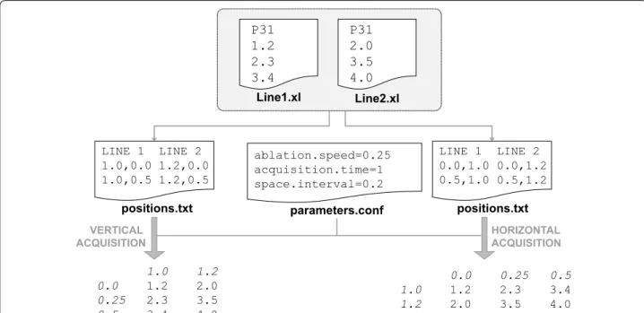 Fig. 2  Elemental data extraction process. In this example,  31 P +  distribution is extracted from two line files using two positions files, one that defines  a vertical orientation and another that defines a horizontal orientation