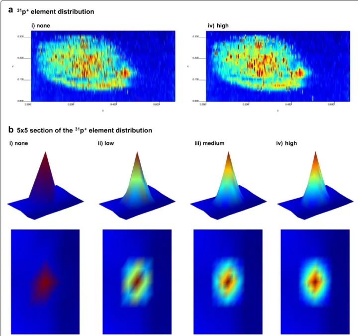 Fig. 4  Effect of interpolations. a  31 P +  elemental distribution image in Arabidopsis thaliana seed (Additional file 2) using different interpolation levels: 