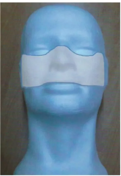 Fig. 9 – Tipo II: Mid Central, parte central da face. Fonte: Barret &amp; Tomasello, 2015, p