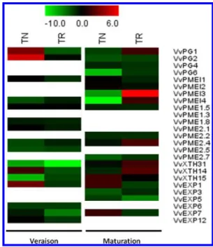 Figure 6. Principal component analysis (PCA) from 50 individual attributes measured at maturation