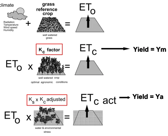 Fig. 5. Schematic representation on the relationships between reference, potential and actual crop  evapotranspiration and crop yields (adapted from Allen et al., 1998) 