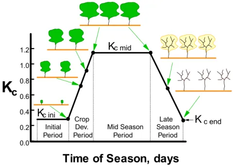 Fig. 6. Schematic of the generalized Kc curve with four crop growth stages and three Kc or Kcb  values (Allen et al., 1998) 