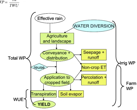 Fig. 1. Different definitions of water productivity and water use efficiency. 