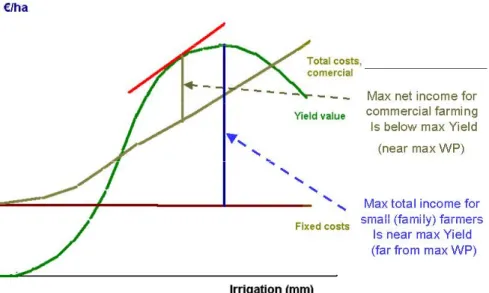 Fig. 3. Schematic representation comparing how maximizing farm incomes for a commercial and a  family farm lead to different approaches to economic water productivity (costs relative to water  volumes used are not considered for simplification)