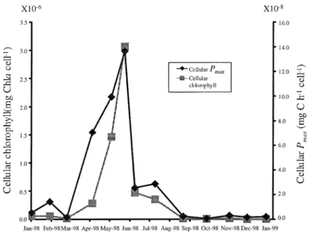 Figure 7. Cellular light saturated photosynthesis (P max ) and cellular Chl a contents (see text).