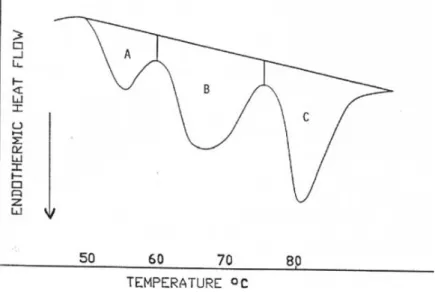 Figure 4. –Thermal transitions curve (freely after Tornberg, 2005). 