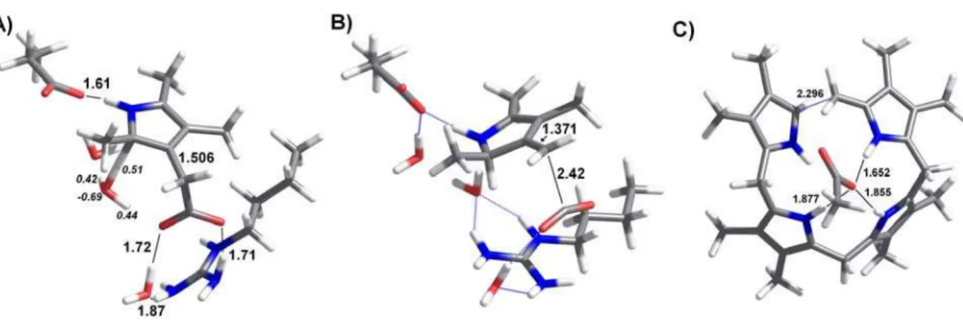 Figure 2: Structures of the transition states for: a) proton transfer from H 3 O +  to the substrate; b)  decarboxylation of the protonated substrate; c) breaking of the protonated tetrapyrrole ring