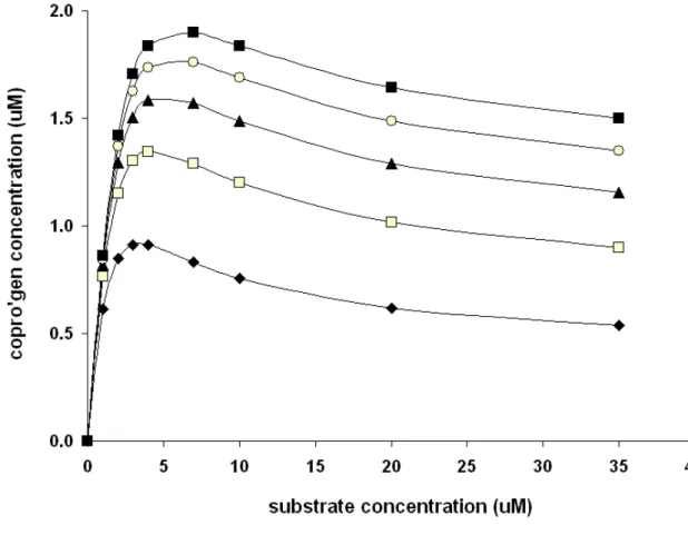 Figure 8: Kinetic profiles predicted by the reaction model depicted in Figure 7. Simulation parameters: 