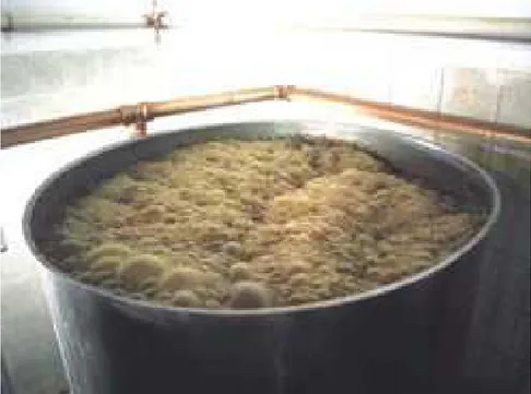 Figura 3 - Modelo de dorna de fermentação construída em aço inoxidável. Fonte: SEBRAE