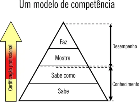 Figura 1. A pirâmide de Miller.