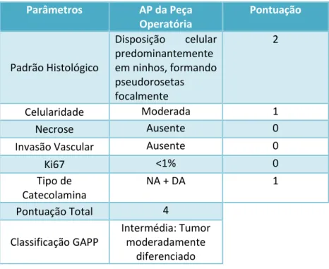 Tabela 3. Características histopatológicas da peça operatória e respectiva classificação GAPP
