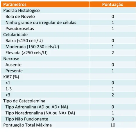 Tabela 1. Parâmetros e Pontuação respectiva do GAPP 