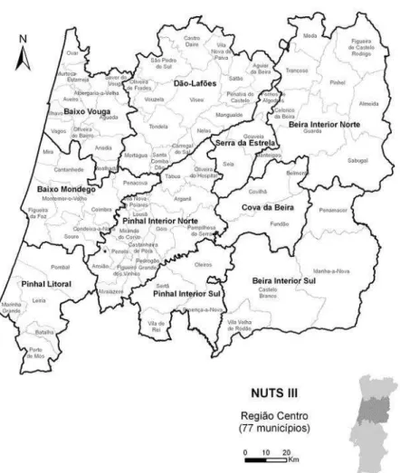 Fig. 13  –  A sub-região Baixo Vouga na Região Centro 
