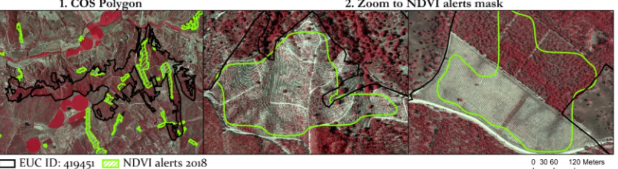 Figure 9 COS2018 polygon overlaid with the burned mask, Maritime Pine OBJECTID: 