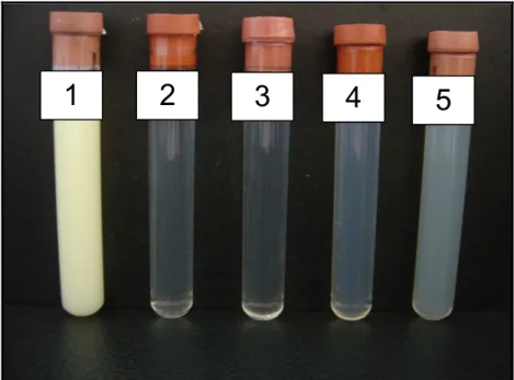 Figura 7. Aspecto das amostras submetidas a diferentes pH durante a delipidação: (1)  pH 4,5;  (2)  pH  5,0;  (3)  pH  5,5  e  (4)  pH  6,0
