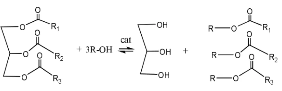 Figura 1.5:  Reação de t ransest erificação de um t riglicerídeo com um álcool na presença de um  cat alisador, com produção de glicerina e biodiesel