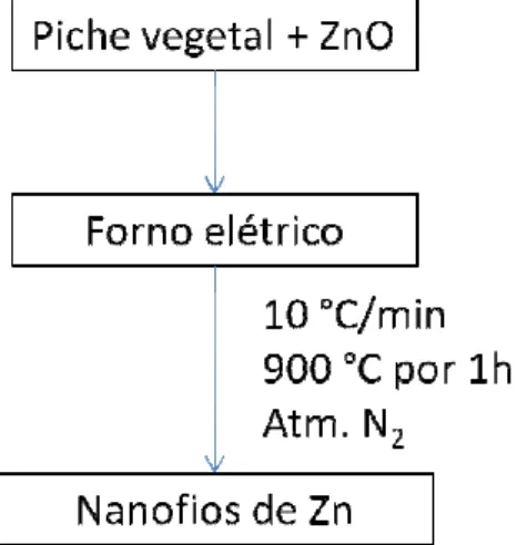 Figura 2.3:  Repr esent ação esquemát ica para a obt enção de Zn nano-est rut urado. 